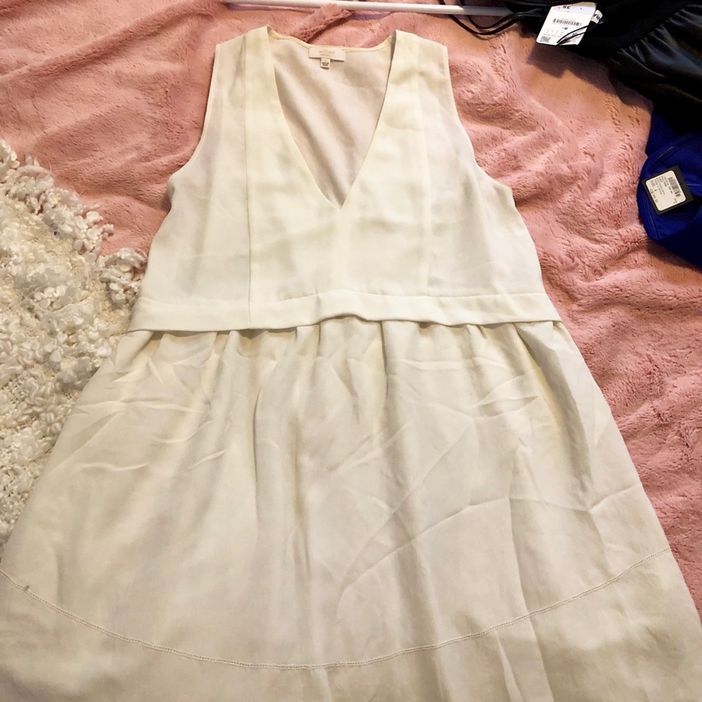 Aritzia Dress